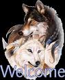wolfpair.jpg